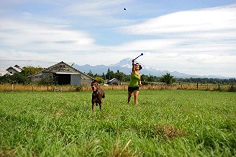 Chuckit! Interactive Whistler Dog Toy Balls - Durable Rubber Fetch Toys for Small Dogs, Pack of 2 - Image 3