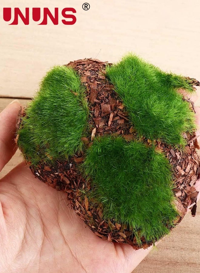 UNUNS 12PCS Artificial Moss Stone,Faux Moss Stones,Artificial Moss Rocks Decorative,Faux Green Moss Covered Stones,Sawdust Moss Decor for Fairy Gardens,Floral Arrangements,Crafting,Fish Tank Bonsai Flower Pot Decoration - Image 3