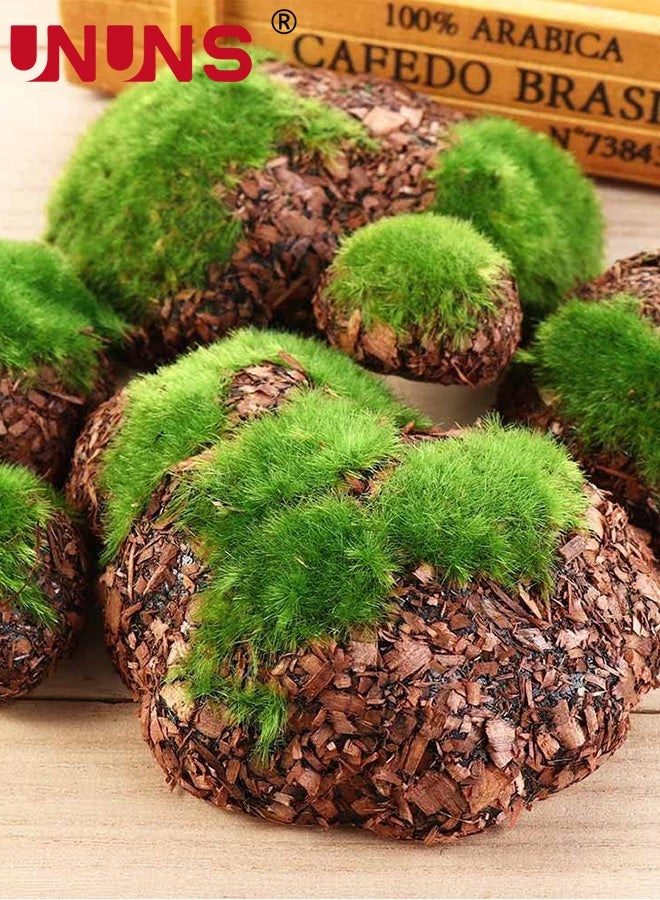 UNUNS 12PCS Artificial Moss Stone,Faux Moss Stones,Artificial Moss Rocks Decorative,Faux Green Moss Covered Stones,Sawdust Moss Decor for Fairy Gardens,Floral Arrangements,Crafting,Fish Tank Bonsai Flower Pot Decoration - Image 2