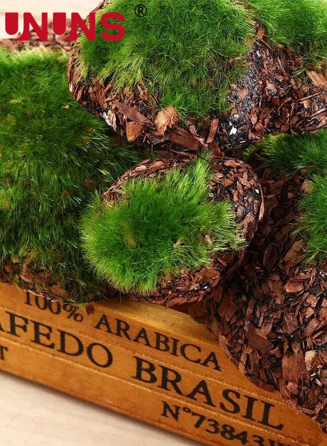 UNUNS 12PCS Artificial Moss Stone,Faux Moss Stones,Artificial Moss Rocks Decorative,Faux Green Moss Covered Stones,Sawdust Moss Decor for Fairy Gardens,Floral Arrangements,Crafting,Fish Tank Bonsai Flower Pot Decoration - Image 4