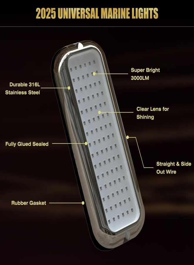 Goldlife مصابيح Goldlife B5-2 البحرية تحت الماء للقوارب، زرقاء، 2 × 3000 لومن، 6.5 بوصة، 10-30 فولت، مقاومة للماء بمعيار IP68، غلاف أبيض وعدسة شفافة، إضاءة مثالية للقوارب الترفيهية، والقوارب، والمركبات الترفيهية، والقوارب، واليخوت، وأحواض الصيد. - Image 2