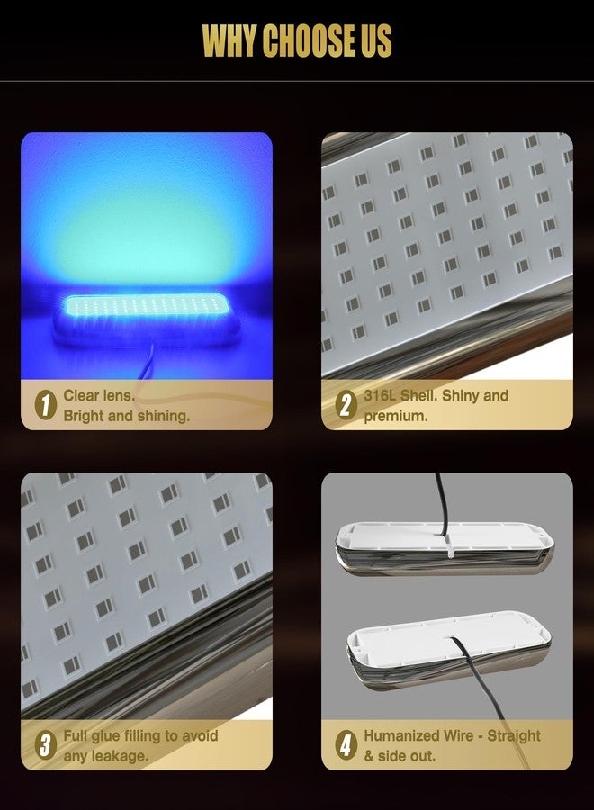 Goldlife مصابيح Goldlife B5-2 البحرية تحت الماء للقوارب، زرقاء، 2 × 3000 لومن، 6.5 بوصة، 10-30 فولت، مقاومة للماء بمعيار IP68، غلاف أبيض وعدسة شفافة، إضاءة مثالية للقوارب الترفيهية، والقوارب، والمركبات الترفيهية، والقوارب، واليخوت، وأحواض الصيد. - Image 3