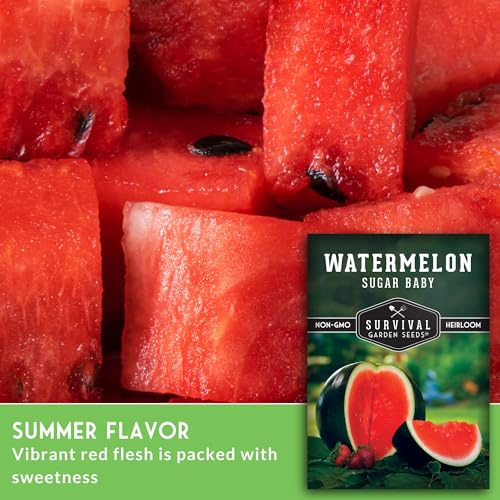 Survival Garden Seeds - Sugar Baby Watermelon Seeds | Grow Little Round Icebox Watermelons at Home - Non-GMO Heirloom (1 Pack) - Image 3