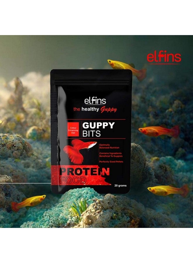 VAYINATO Horizone Elfins Colour Enhancing Special Guppy Bits Fish Food, 20G (Pack of 3) - (60g) - Image 4
