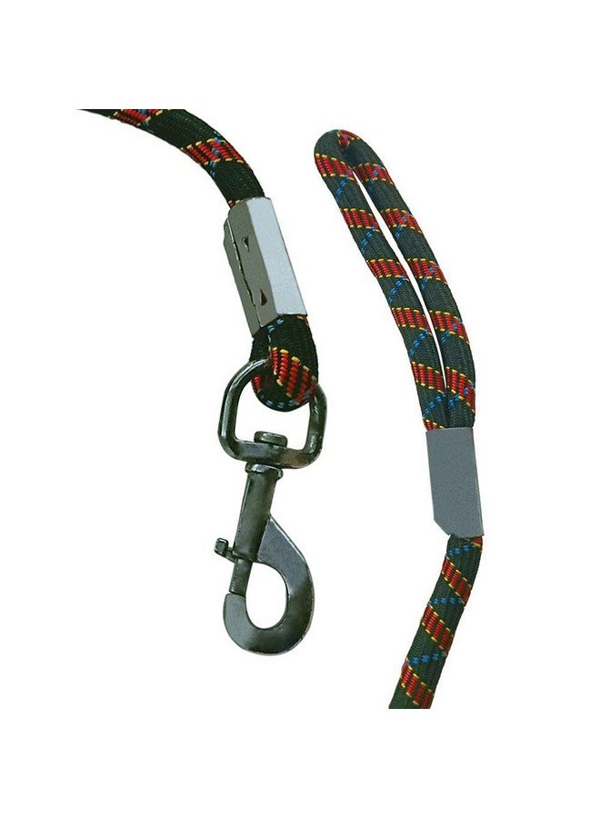 دي آي واي كرافتس DIY DIYC-13734 حزام نايلون للكلاب وحزام للحيوانات الأليفة Dno#6 (عبوة من قطعتين، أحمر) - Image 3