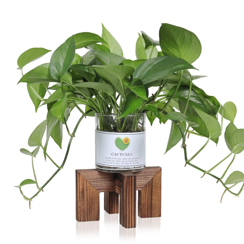 Vigordream Plant Stand, Indoor/Outdoor Wood Plant Holder, Single Flower Pot Stand, Sturdy Planter Stands (Walnut, Fit 2.5-6 inch pots) - Image 1