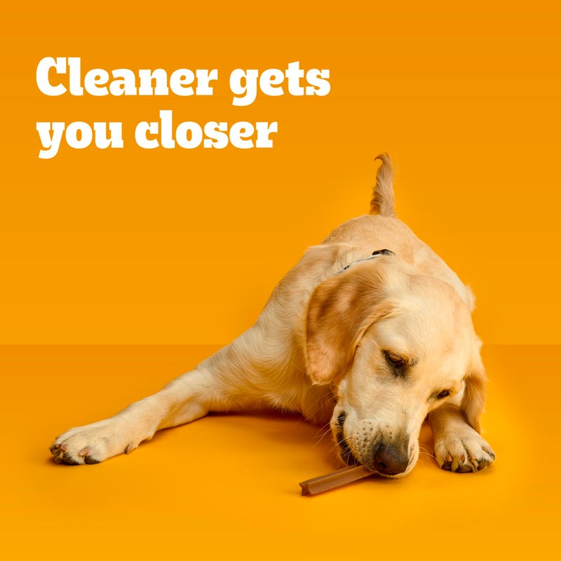 Pedigree Dentastix Large Breed Dog Treats, Beef Flavor, 1.67 lb. Bag (32 Treats) - Image 5