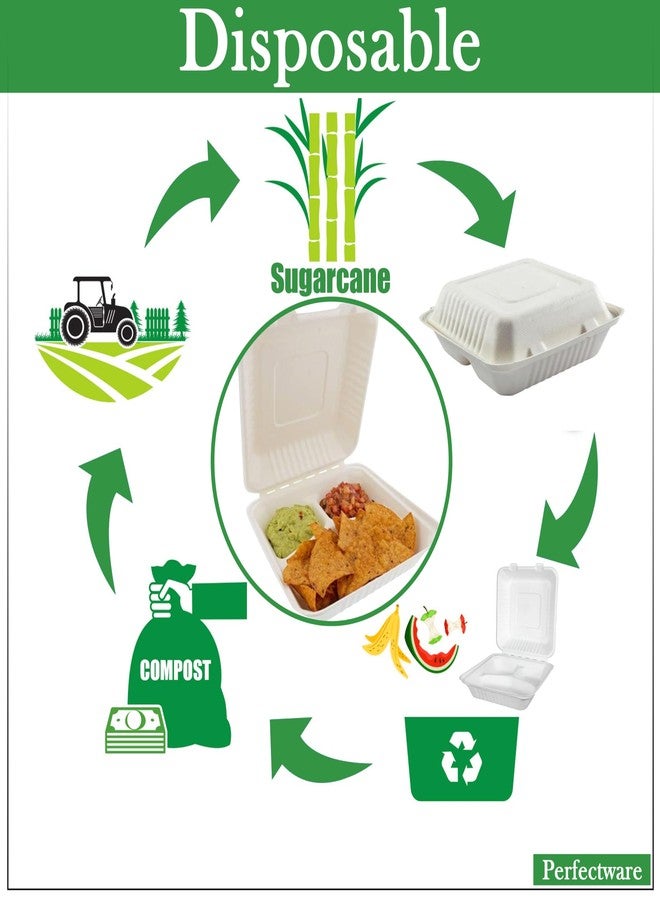 Perfectware 100% Compostable 3 Comp Take Out Food Containers 9x9x 3. 100 Containers, Natural Disposable Bagasse, Eco-Friendly Biodegradable Made of Sugar Cane - Image 2