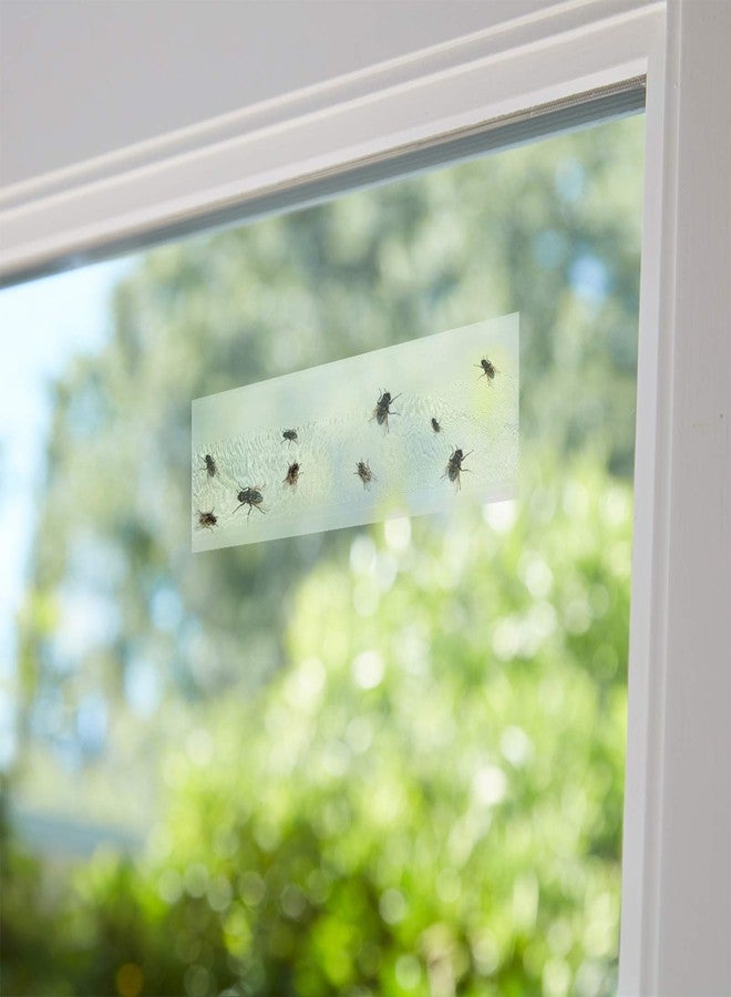 Faicuk 20-Pack Clear Window Fly Traps Sticky Fly Strip for Indoor Houseflies Nontoxic and Pesticide-Free - Image 5