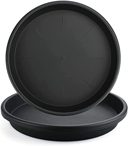 Lechay Black Plant Saucer for Indoors3 Pack 12inch Plastic Flower Plant Pot Saucer Plastic Plant Saucer Drip Trays for Indoor and Outdoor Plants3 - Image 1