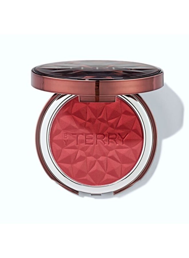 By Terry Tea To Tan Blush Powder spicy song 7g - Image 2