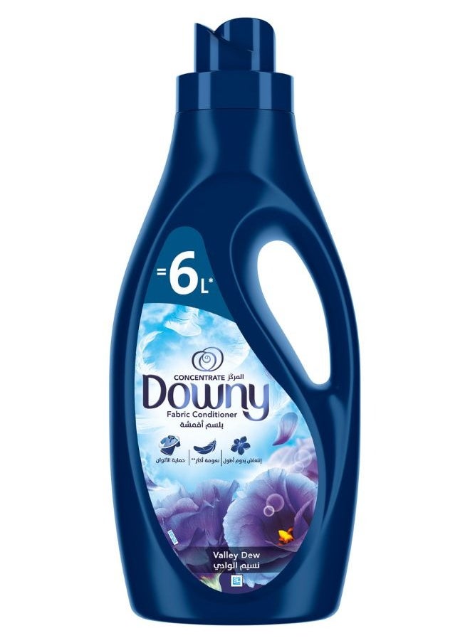 Downy Concentrate Valley Dew Fabric Conditioner 2L=6L  - Image 1