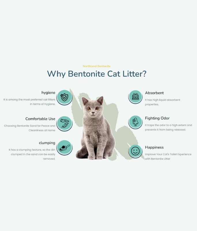 Northland Bentonite Clumping Cat Litter with Extra Activated Carbon - 5L - Image 2