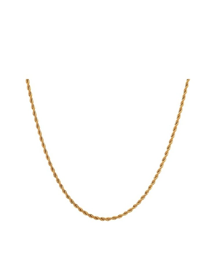 Generic Stainless Steel Rope Chain Necklace-Trendy Twisted Rope Chain -Women Thick Braided Rope Chain Necklace Modern Birthday for Wife and Daughter  - Image 1