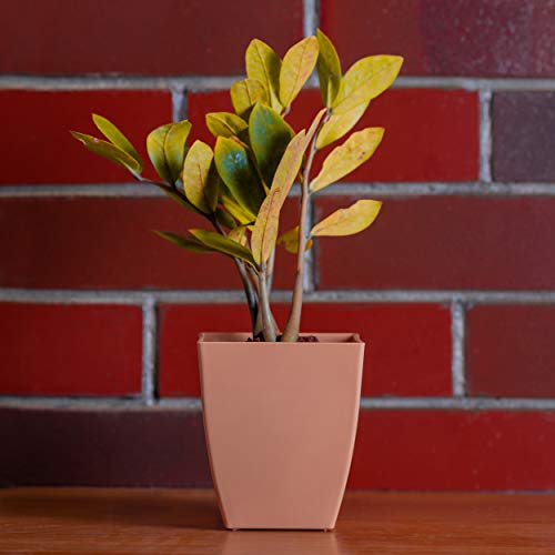 garbnoire Gardening Flower Pots - 5.5 Inch Plastic Flower Pots | Modern Decorative Indoor Outdoor Pots - (Camel, 5) - Image 1