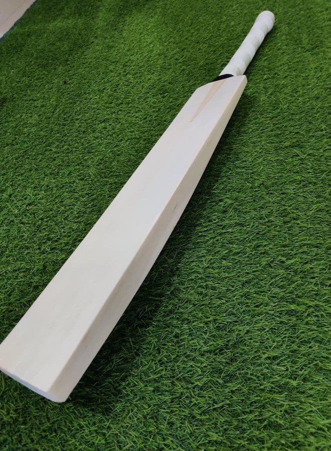 تبلد مضرب كريكيت من خشب الصفصاف الإنجليزي للرجال والنساء | حجم كامل | مقبض قصير | خفيف الوزن | غطاء مجاني | SAG - Image 1