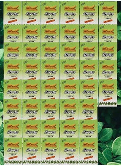 Pyary 45 Pieces Turmeric Soap All Natural Hand Crafted Vegan Ayurvedic 