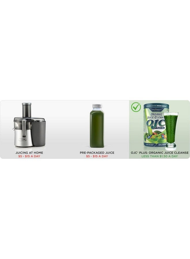 Purity Products Certified Organic Juice Cleanse OJC Plus Berry Surprise - Purity Products - 30+ Organic Veggies and Fruits - 5 Grams of Fiber - Promotes Energy and Digestive Function - 12.28 oz - 348 g - 30 Servings - Image 3