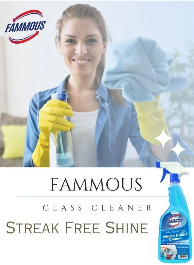 FAMOUS - Fammous Shine Glass Cleaner Spray Trigger for window 800ML - Image 1