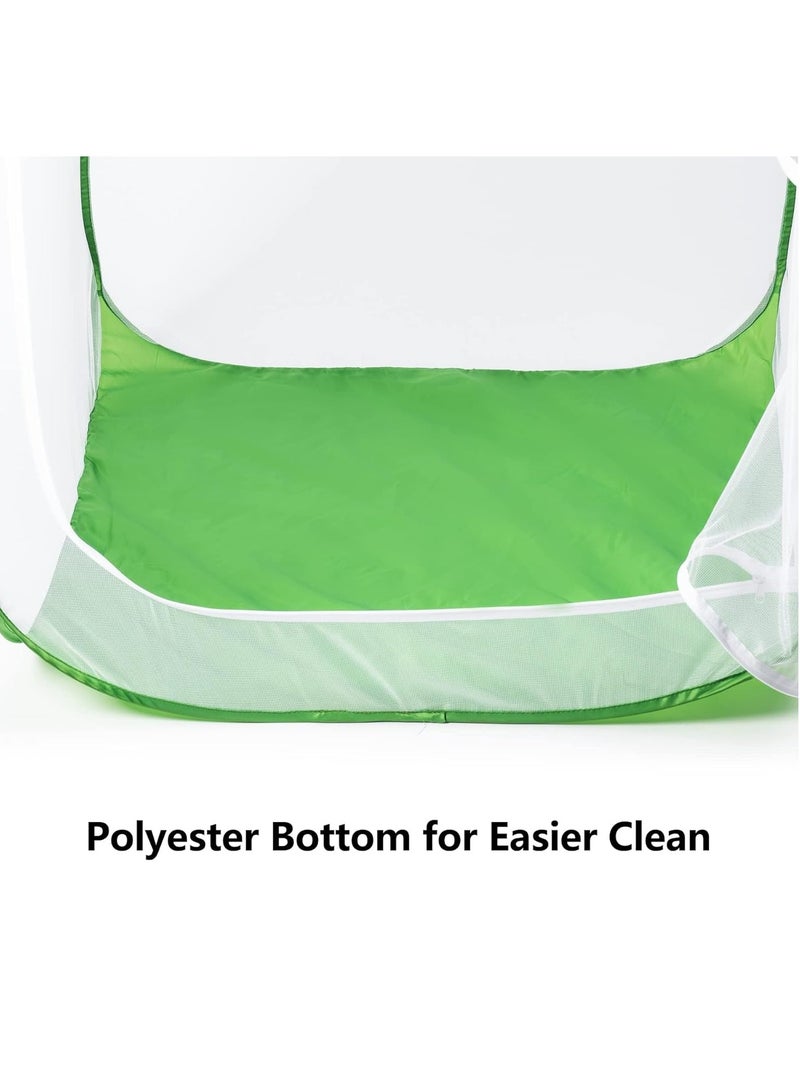 Excefore 36" Outdoor Mesh Plant Enclosure, Plant Cover for Pests, Bird and Pest Protection Guard for Fruit, Vegetables, Flowers and Herbs Pop-Up Cage 24 x 24 x 36 Inches - Image 4