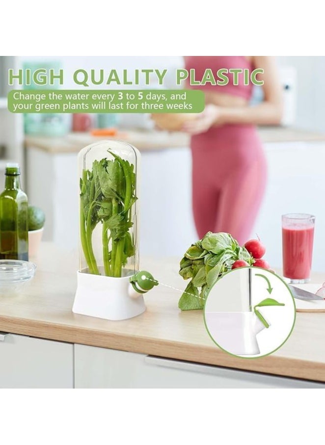 Ru syanl - Herb Keeper and Herb Saver Vegetable Storage Container for Cilantro Mint Parsley Asparagus - Image 1