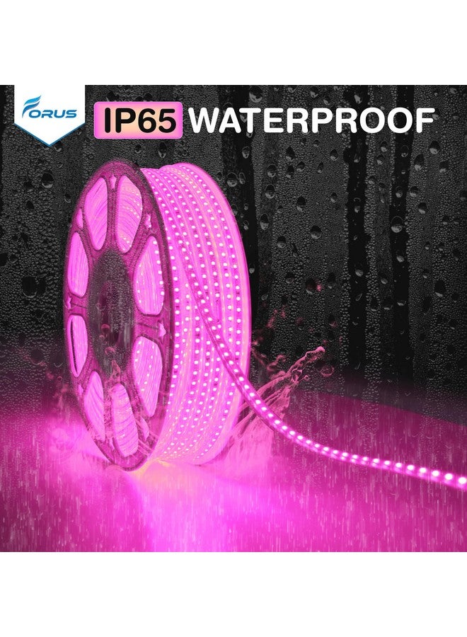 Forus LED Rope Light 50 Meter 2 Year Warranty, Outdoor Waterproof Decorative Cove Lights for Ceiling, Balcony, Home Decor, Interior Decoration, Flexible Profile Light for Diwali, Christmas -Pink - Image 5