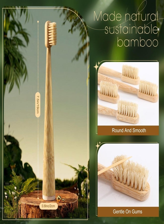 Ferrochef 9 Pack Boar Bristle & Bamboo Toothbrush Made from Natural Boar Hair Bristles and Bamboo Handle, Plastic & Nylon Free Biodegradable Quick Dry Design - Image 2