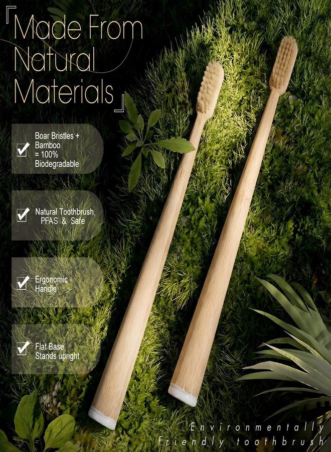 Ferrochef 9 Pack Boar Bristle & Bamboo Toothbrush Made from Natural Boar Hair Bristles and Bamboo Handle, Plastic & Nylon Free Biodegradable Quick Dry Design - Image 4