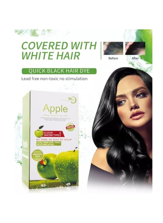 Apple Fruit Extract Ammonia-Free 92HR Long Lasting Natural Black Hair Color cream - 500ml*2 - Image 2
