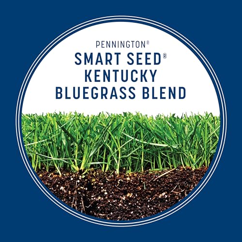 Pennington Smart Seed Kentucky Blue Grass Mix 3 lb - Image 5