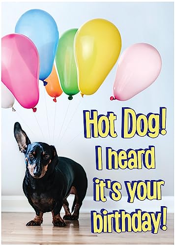 Glory To Dog Hot Dog! I Heard It's Your Birthday! Card Card with Greeting Card Mailing Envelope - Image 4