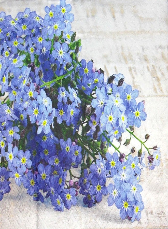 Importer AM مناديل غداء مزخرفة من AM Décor عدد 20 - 3 طبقات ناعمة - 13" × 13" (غير مطوية) لا تنساني - Image 1