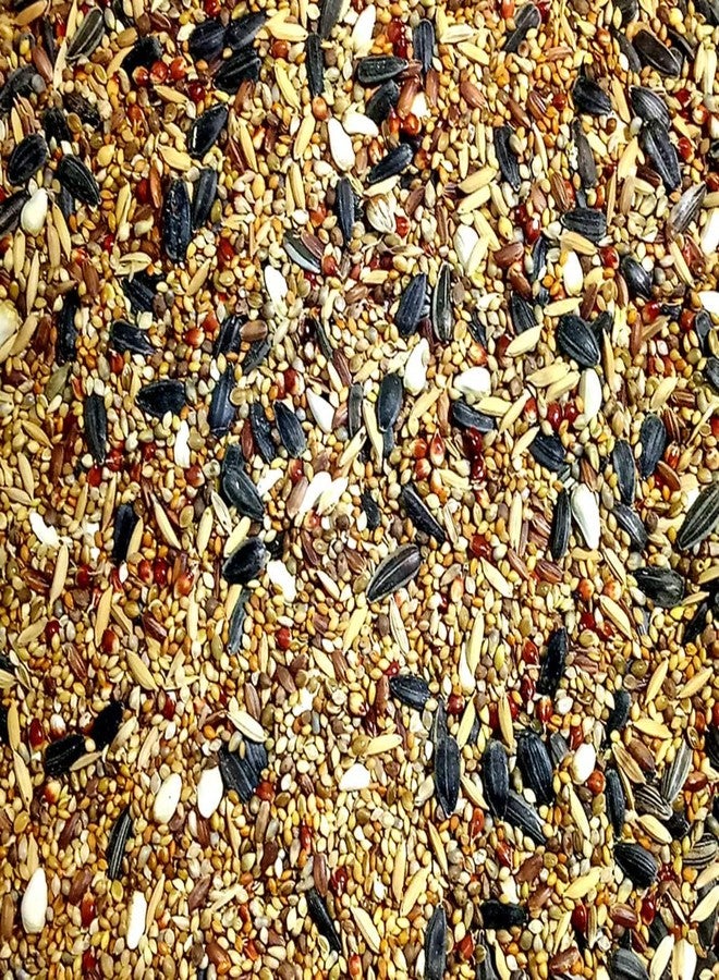 طعام نيتيشري المميز للطيور، مزيج من 11-15 نوعًا من البذور للببغاوات الصغيرة، والكوكاتيل، وطيور الحب، والعصافير الصغيرة (1000 جم) - Image 4