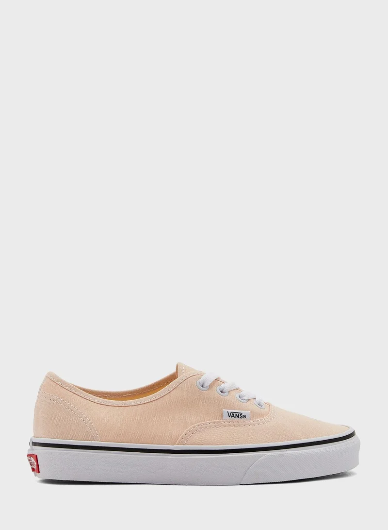 VANS Authentic