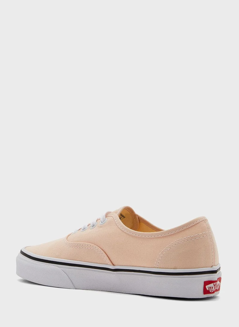 VANS Authentic