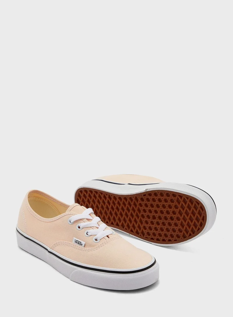 VANS Authentic