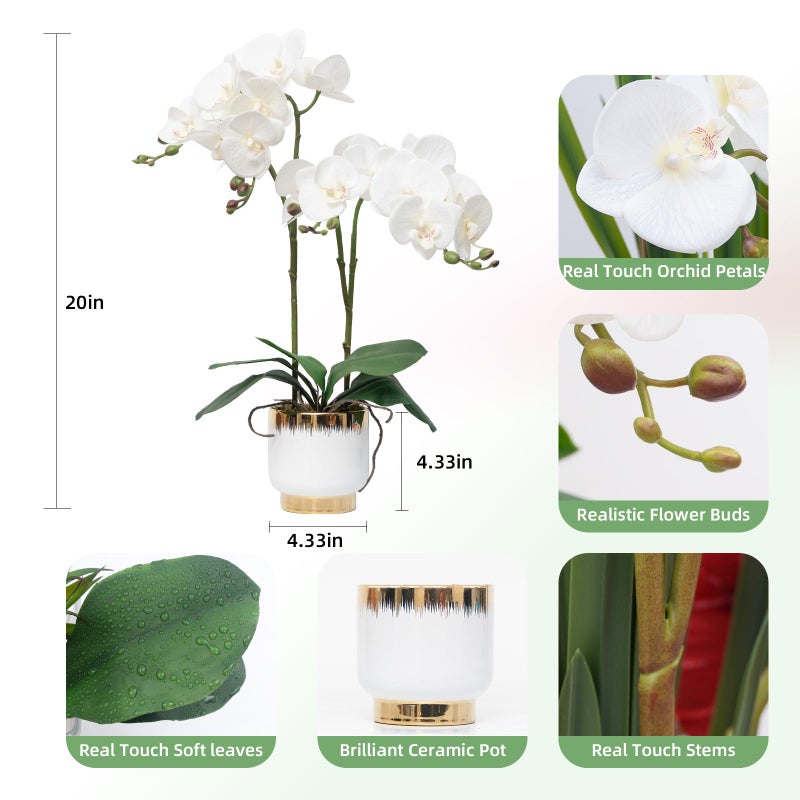 CXGS Orchids Artificial Flowers Real Touch Fake Flowers in Ceramic Pot 20" White Faux Orchid Plant Lifelike Silk Phalaenopsis for Centerpiece Hotel Home Indoor Decor - Image 2