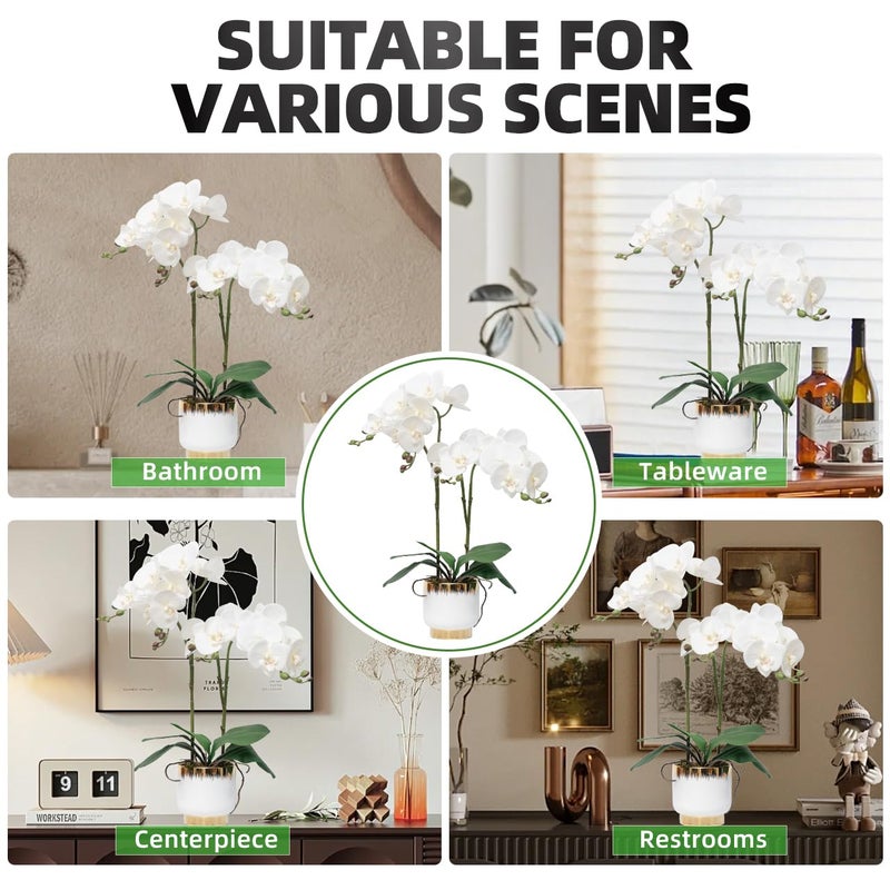 CXGS Orchids Artificial Flowers Real Touch Fake Flowers in Ceramic Pot 20" White Faux Orchid Plant Lifelike Silk Phalaenopsis for Centerpiece Hotel Home Indoor Decor - Image 5