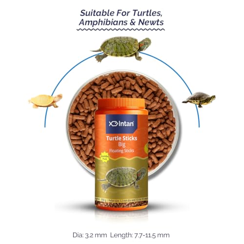 Intan Fisher Men Intan Turtle Food for All Life Stages for Growth & Health | Big Floating Sticks Suitable for Turtles | Nutritious Feed for Better Health | Jumbo Pack 350 Gm, 3.2 mm Dia - Image 2