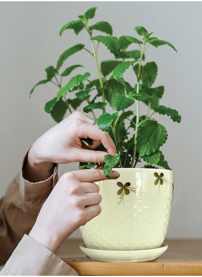 Wide Tree Containers Planters, Flower Pot - Planters for Indoor Ourdoor Plants/Flower - Planters for Tree