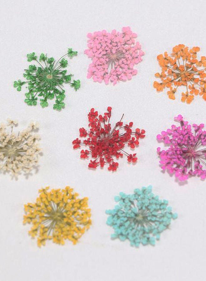 NIBEMINENT 8-Piece 3D Dried Flower Nail Art Sticker Set Multicolour - Image 2