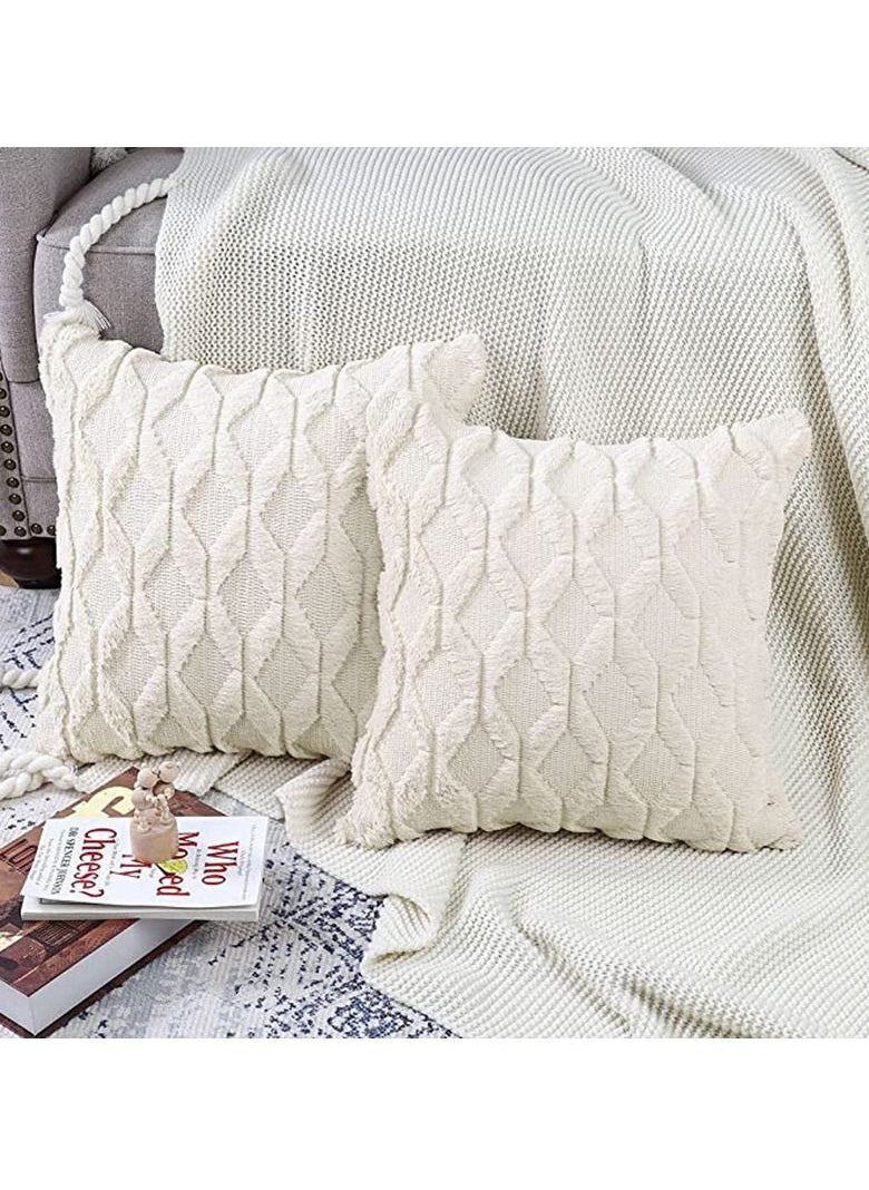 2 PCS Of Throw Pillow With Extra Comfort And Fluffy Material With Soft Handfeel