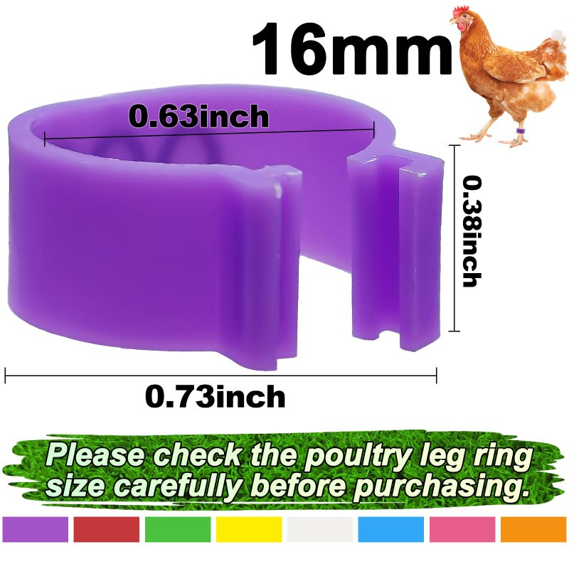 EZEELAI 80 Pcs 16mm Chicken Leg Bands with 8 Colors, Colorful 01-80 Numbered Chicken Identification Leg Bands Duck Poultry Foot Tags for Ducks Bantam Guinea Pigeons Goose Gamefowl - Image 2