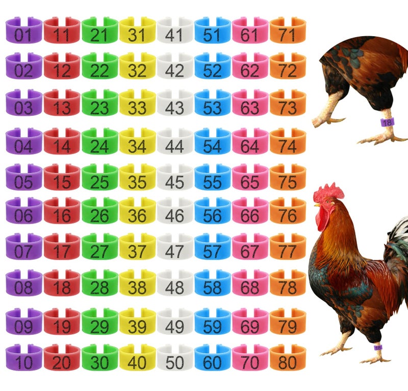 EZEELAI 80 Pcs 16mm Chicken Leg Bands with 8 Colors, Colorful 01-80 Numbered Chicken Identification Leg Bands Duck Poultry Foot Tags for Ducks Bantam Guinea Pigeons Goose Gamefowl - Image 1