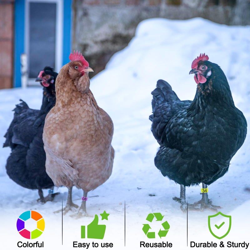 EZEELAI 80 Pcs 16mm Chicken Leg Bands with 8 Colors, Colorful 01-80 Numbered Chicken Identification Leg Bands Duck Poultry Foot Tags for Ducks Bantam Guinea Pigeons Goose Gamefowl - Image 5