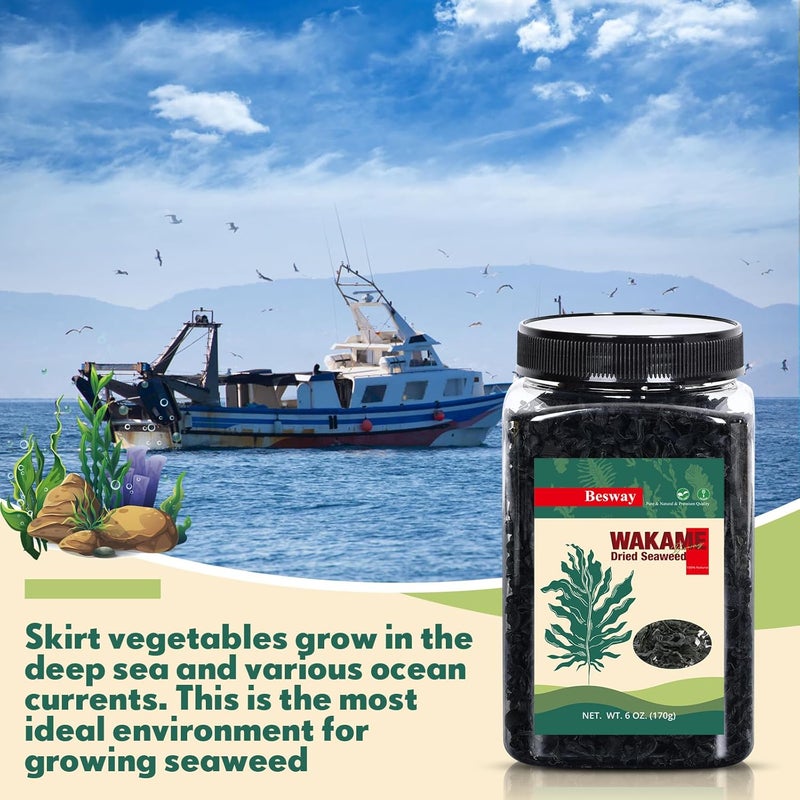 Besway طحالب واكامي المجففة من بيسواي 6 أونصات - 100% طبيعية، خالية من الكائنات المعدلة وراثيًا، خالية من الغلوتين للحساء والسلطات والطهي الصحي - Image 3