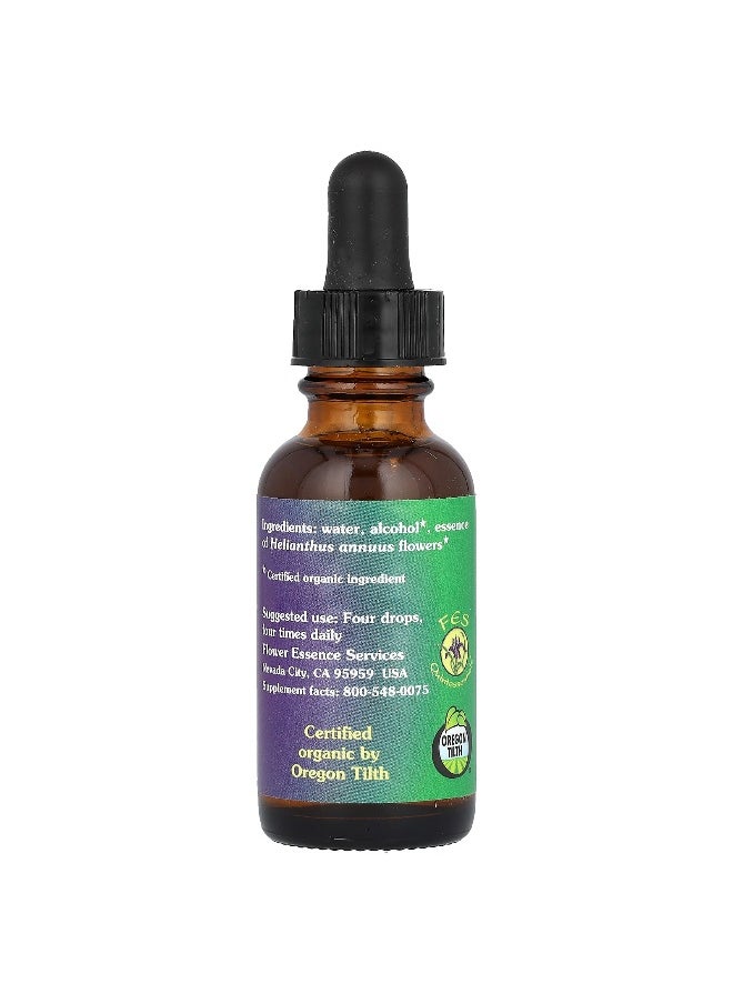 Flower Essence Services Flower Essence Services, Sunflower, Flower Essence, 1 fl oz (30 ml)  - Image 2