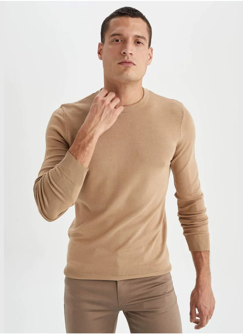 DeFacto Man Regular Fit Tricot Pullover