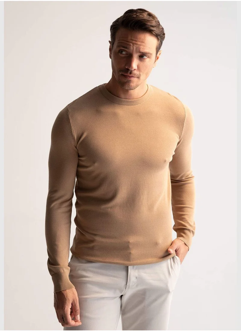 DeFacto Man Regular Fit Tricot Pullover