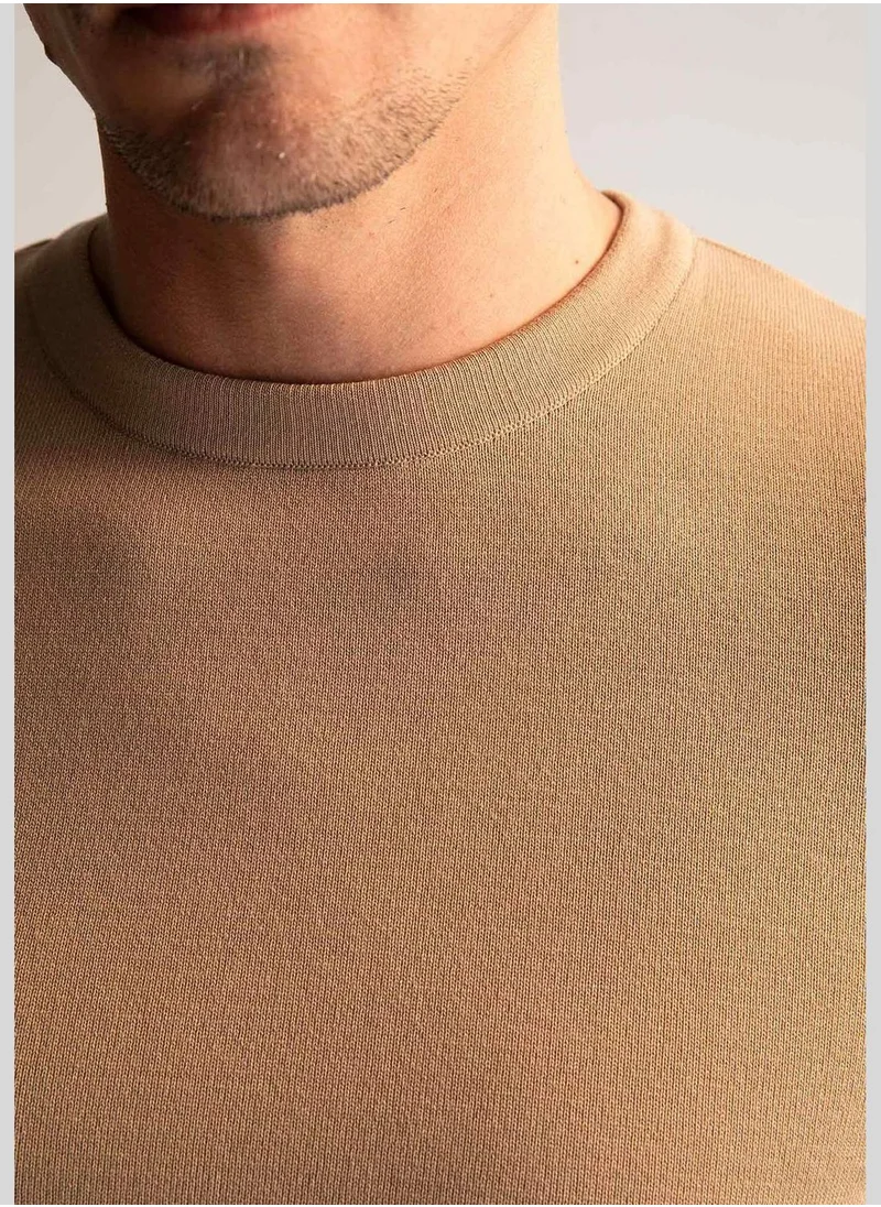 DeFacto Man Regular Fit Tricot Pullover